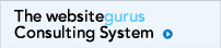 The websitegurus Consulting System